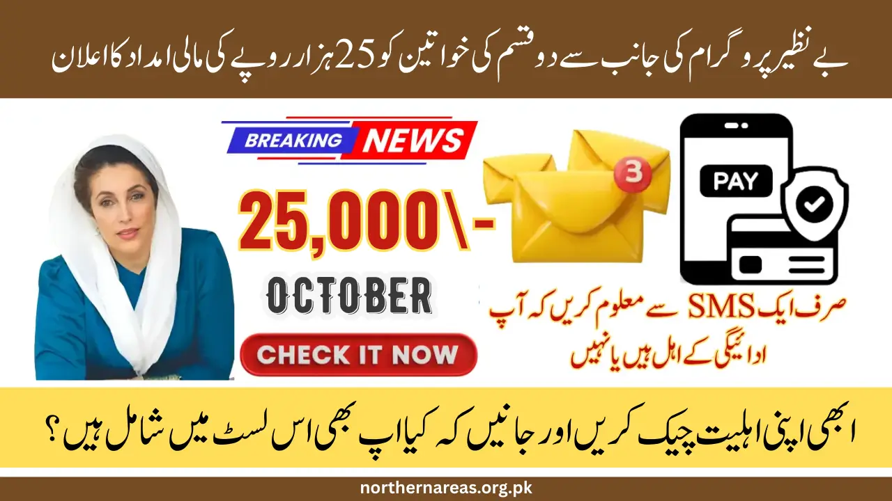 25000 BISP Registration Check by CNIC: Simple Online Verification Guide