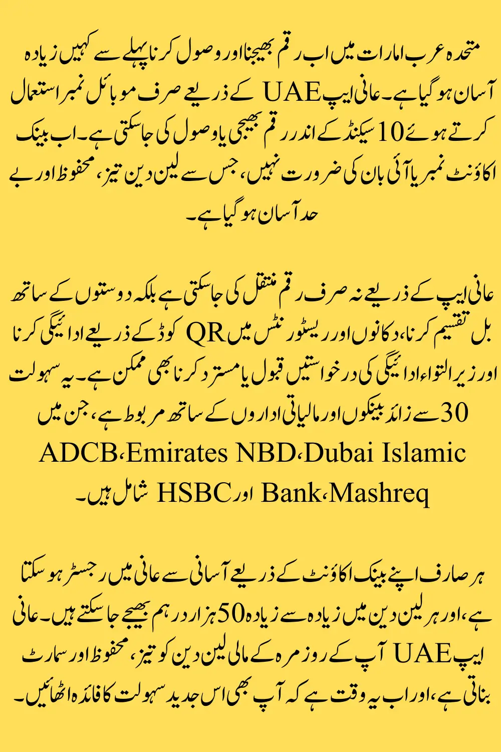 Aani UAE Instant Payments: True Cost, Speed & What to Check Before Using