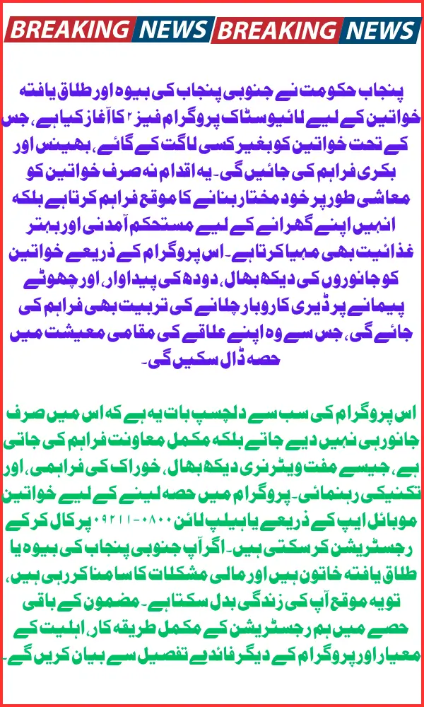 Punjab Govt Announces Free Cows & Buffalos for Widows And Divorced Women By Livestock Program Phase 2; Here's How To Apply?