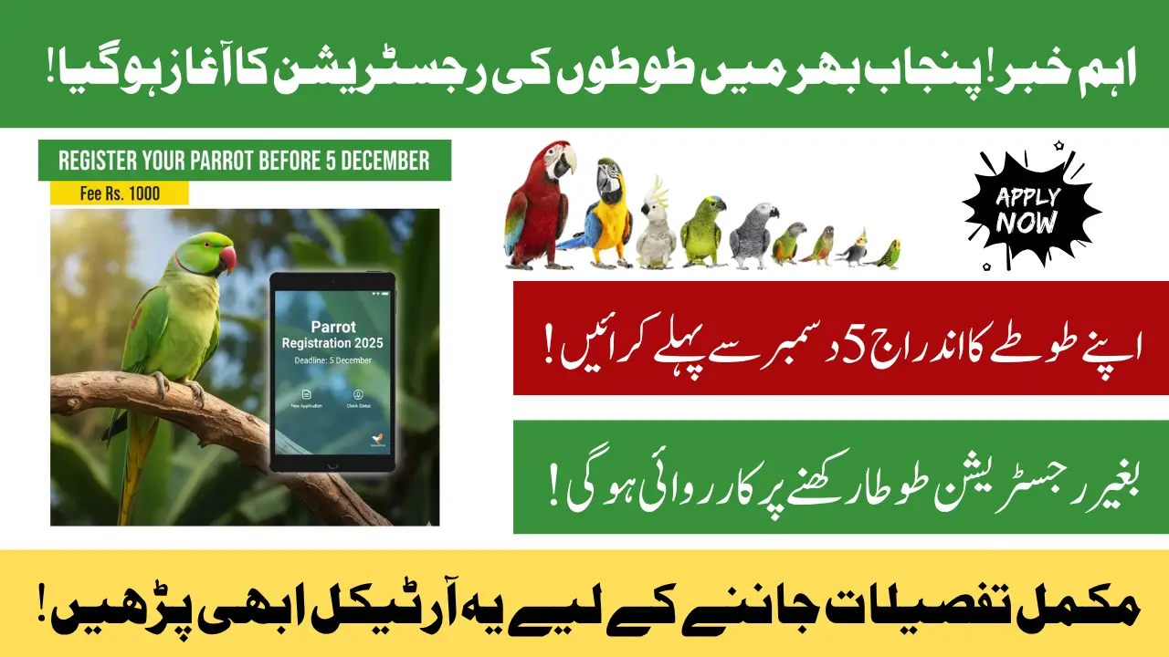 Parrot Registration Deadline 5 December 2025: Know How to Register Your Parrot Online Step-By-Step Guide
