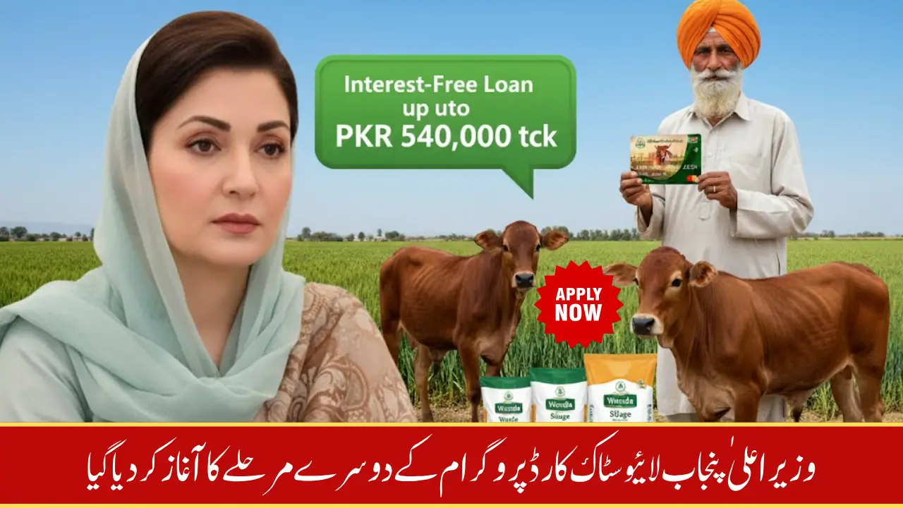 Punjab Livestock Card Program Phase 2 Launched – Interest-Free Loans up to PKR 540,000 for Cattle Farmers