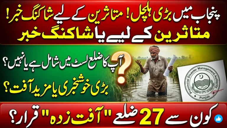 PDMA Punjab Flood Notification: 27 Districts & 72 Tehsils Declared Calamity-Affected - Relief Steps Explained