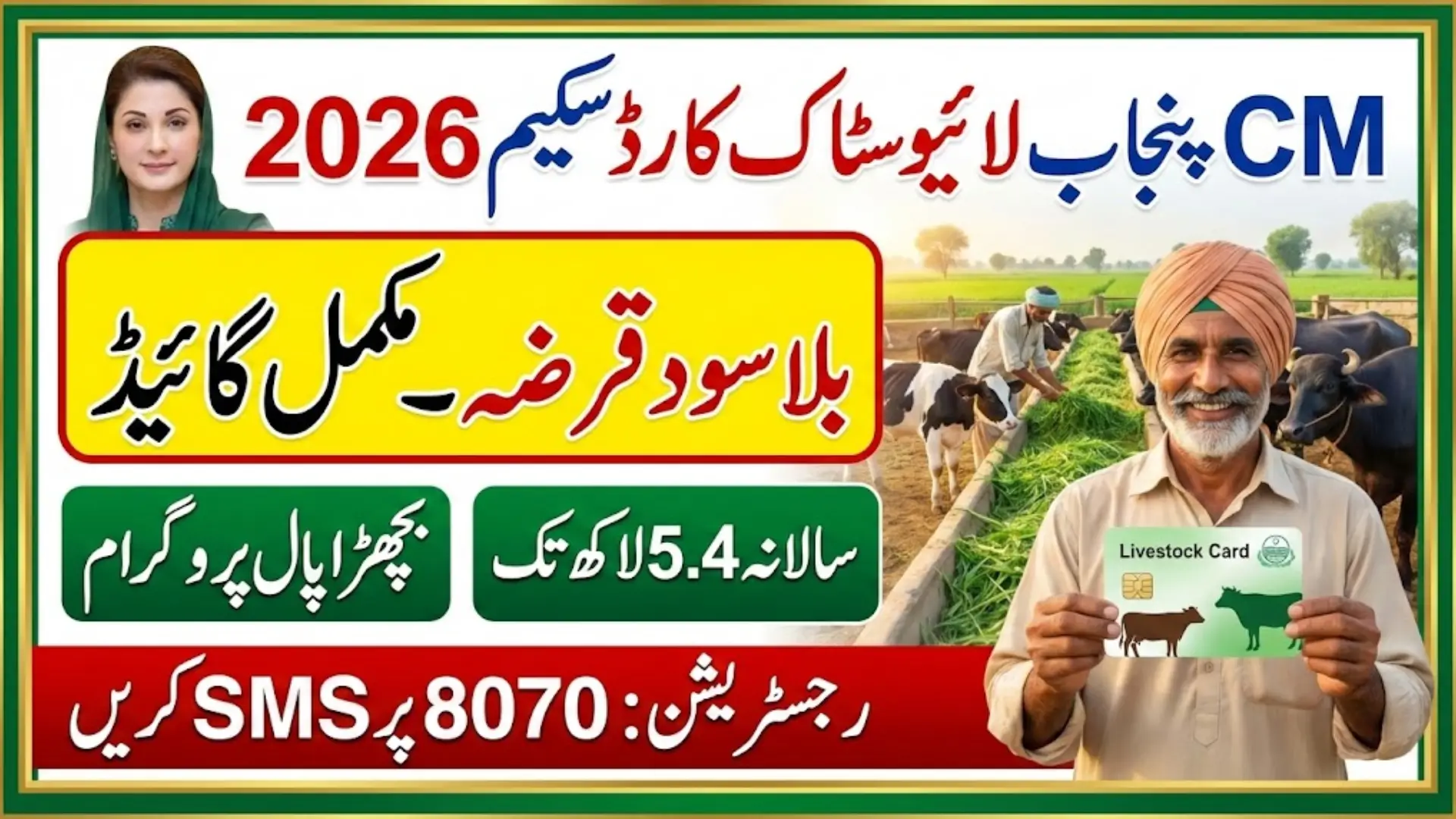 CM Punjab Livestock Card Scheme 2026 Complete Guide for Interest-Free Livestock Loan in Punjab