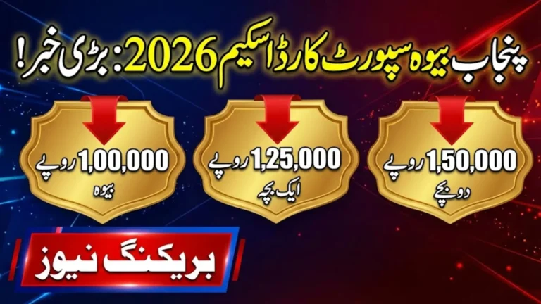 Punjab Widow Support Card Scheme 2026: Comprehensive Guide for Eligible Women