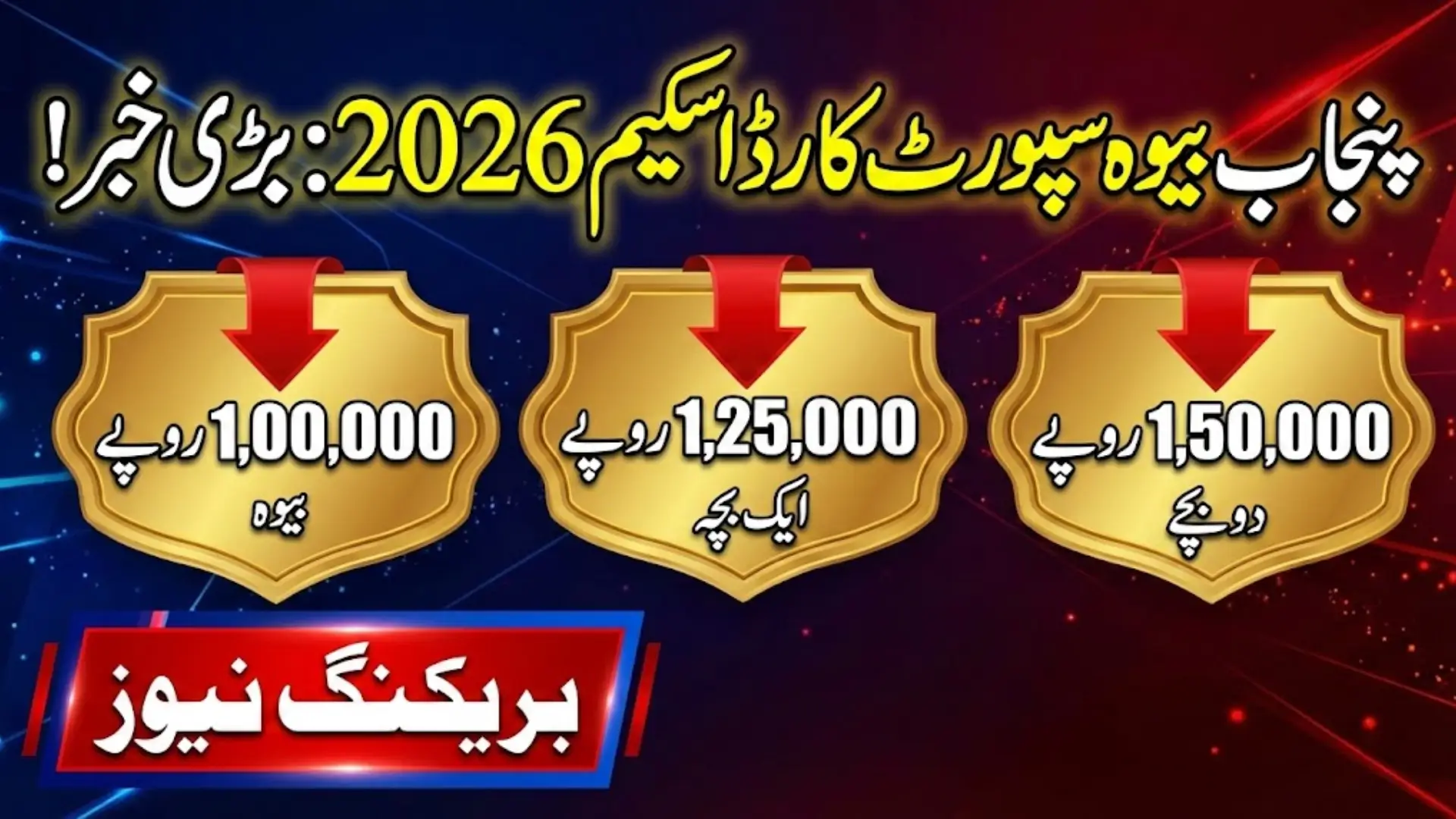 Punjab Widow Support Card Scheme 2026: Comprehensive Guide for Eligible Women